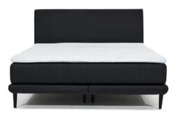 Lit Boxspring 140x200 Cm Tissu Gris Clair Sommier Et Matelas Inclus Mastera 22 Lit Boxspring 140x200 Cm Tissu Gris Clair Sommier Et Matelas Inclus Mastera -Pas Cher Lit Magasin lit boxspring 140x200 cm tissu gris clair sommier et matelas inclus mastera 3666722018654 1309247