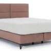 Lit Continental Tissu Rose Tiempo Avec Matelas 30 Cm En Latex Et Pied Métal Noir -Pas Cher Lit Magasin lit continental tissu rose tiempo avec matelas 30 cm en latex et pied metal noir 5904484023409 1397849
