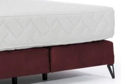 Lit Continental Velours Bordeaux Tiempo Avec Matelas 30 Cm En Latex Et Pied Metal Noir 11 Lit Continental Velours Bordeaux Tiempo Avec Matelas 30 Cm En Latex Et Pied Metal Noir -Pas Cher Lit Magasin lit continental velours bordeaux tiempo avec matelas 30 cm en latex et pied metal noir 5904484023294 1397918