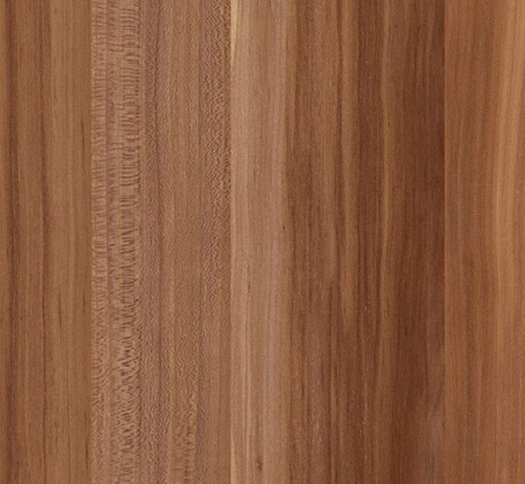 Lit Escamotable Vertical 90x190 Cm Avec étagères Intérieures Paola - Profondeur 45 Cm 15 Lit Escamotable Vertical 90x190 Cm Avec étagères Intérieures Paola - Profondeur 45 Cm – Image 13